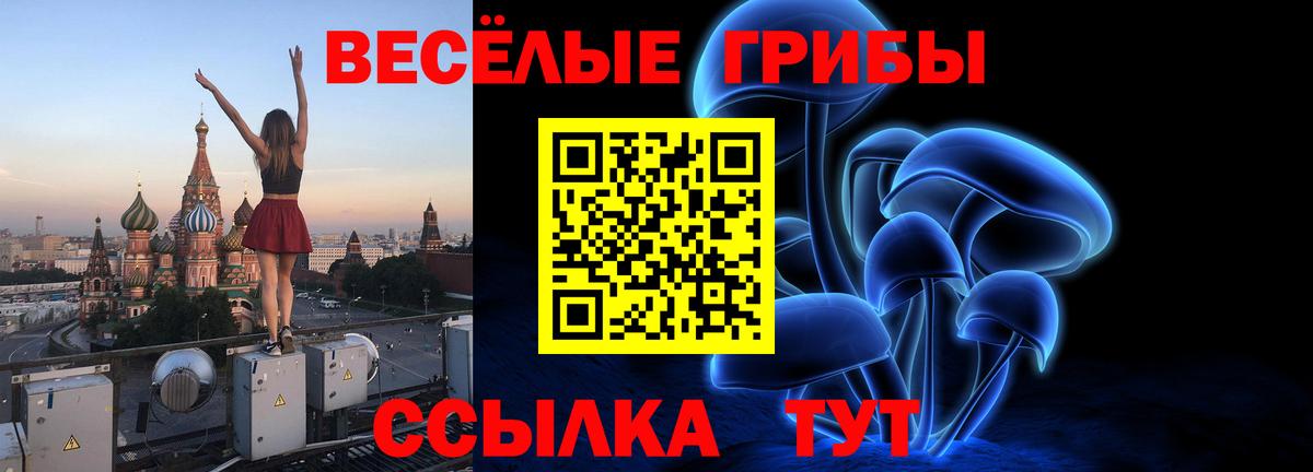 Псилоцибиновые грибы Psilocybe  Вход с VPN  Псилоцибиновые грибы мицелий  Щёлково 